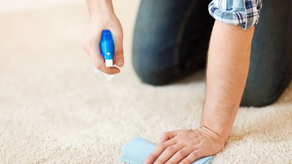 pessoa limpando tapete com pano e uma mistura caseira.