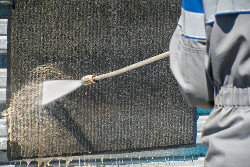 lavanderia de tapetes e carpetes em santos: profissional lavando tapete