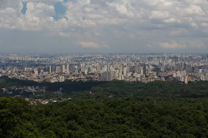 limpeza de tapetes e carpetes bairro tucuruvi1